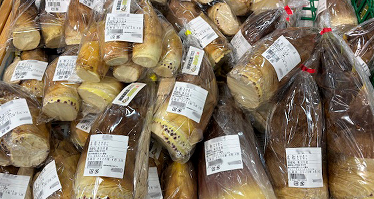 掛川市の旬の農作物「たけのこ」