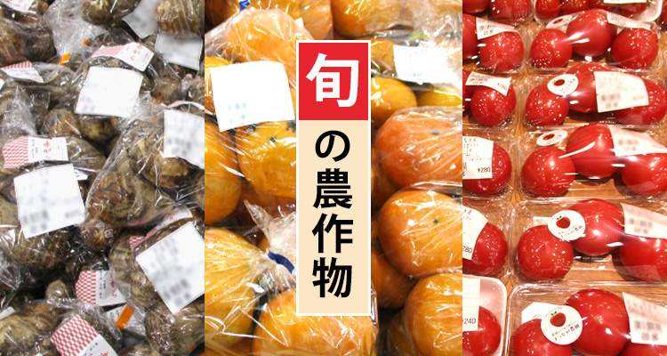 旬の農作物販売 トマト さといも 柿