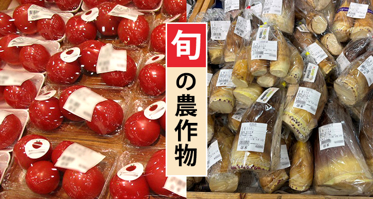 旬の農作物販売 トマト たけのこ