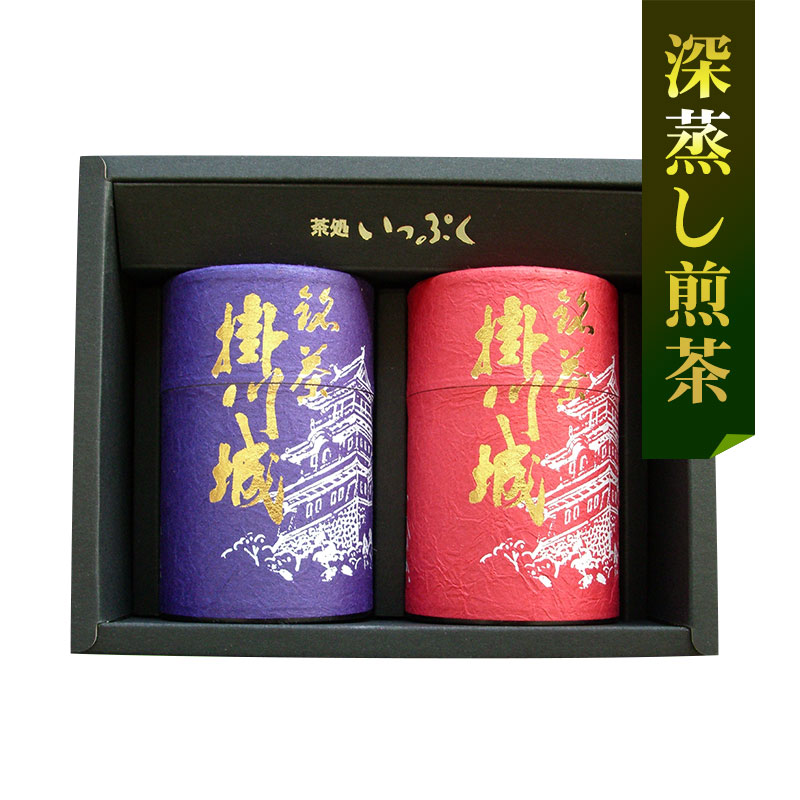 掛川城2本セット<深蒸し煎茶>
