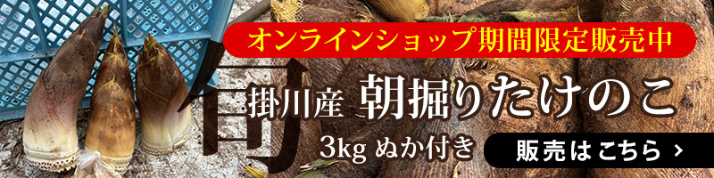 新鮮安心市場オンラインショップ 期間限定販売 掛川産朝掘りたけのこ（3kg・ぬか付き）