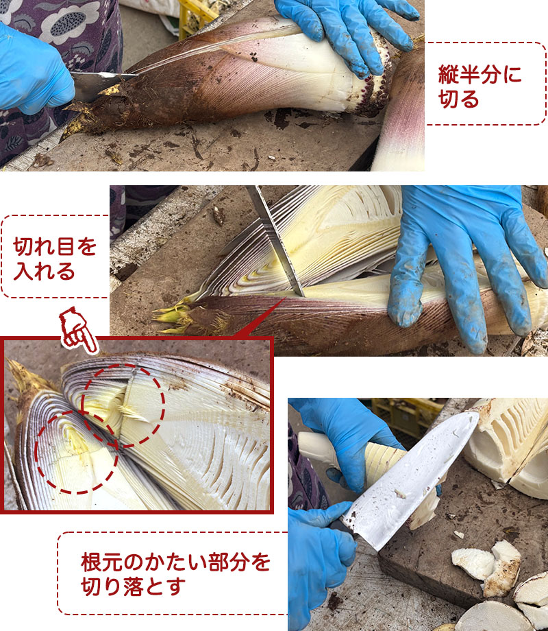 たけのこを縦半分に切り、上から３～5ｃｍくらいのところに切れ目を入れ、横からガバッと皮をむきます。根本のかたい部分を切り落とす。