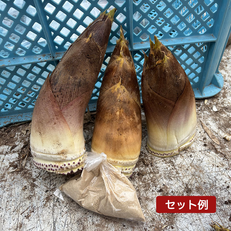 掛川産朝掘りたけのこ3kg（ぬか付き）セット例